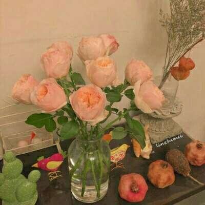 kok全站app官网登录入口截图