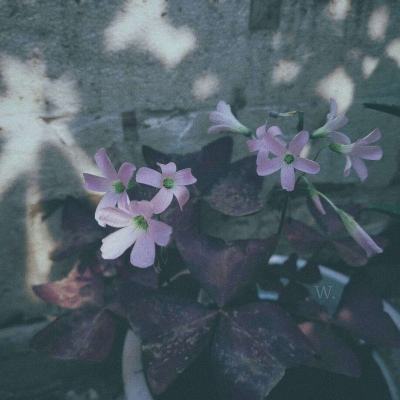 九游会演示说明