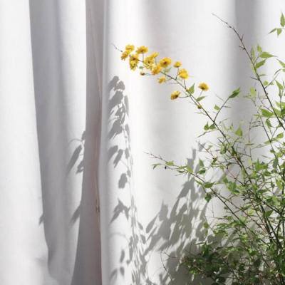 kok全站app官网登录入口截图